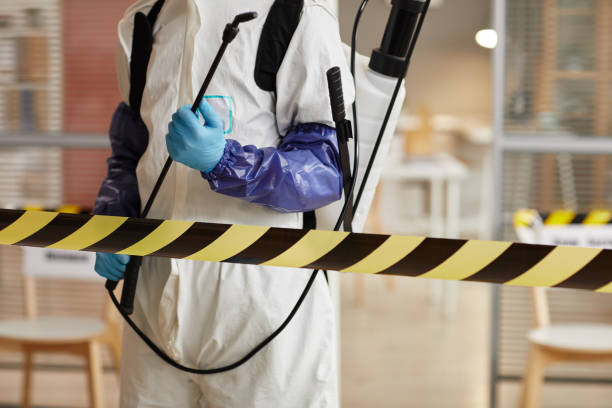 Professional Hoarding Cleanup technician working in Crescent City, CA
